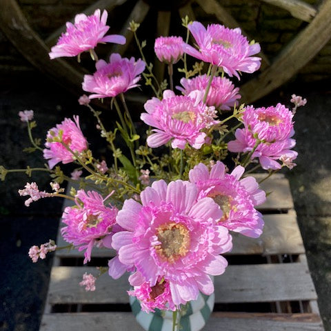 Faux Daisy Meadow Bunch Small
