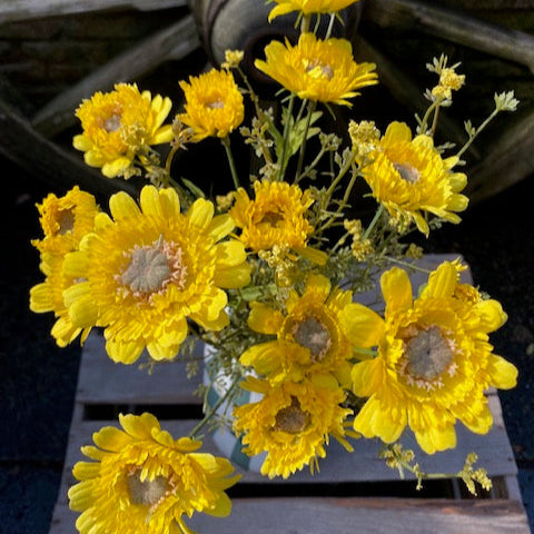 Faux Daisy Meadow Bunch Small