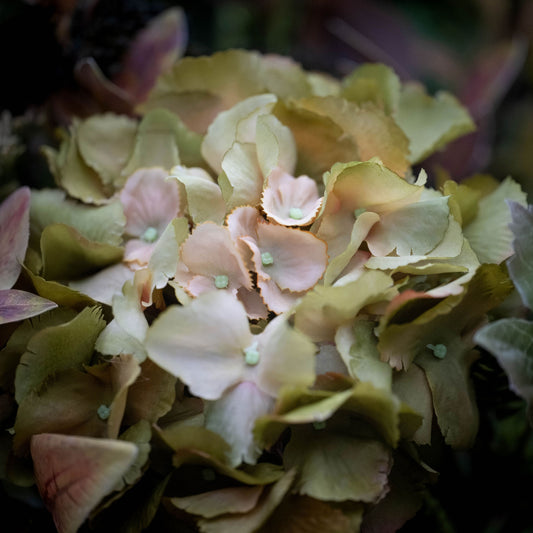 Faux Rustic Farm house Arrangement