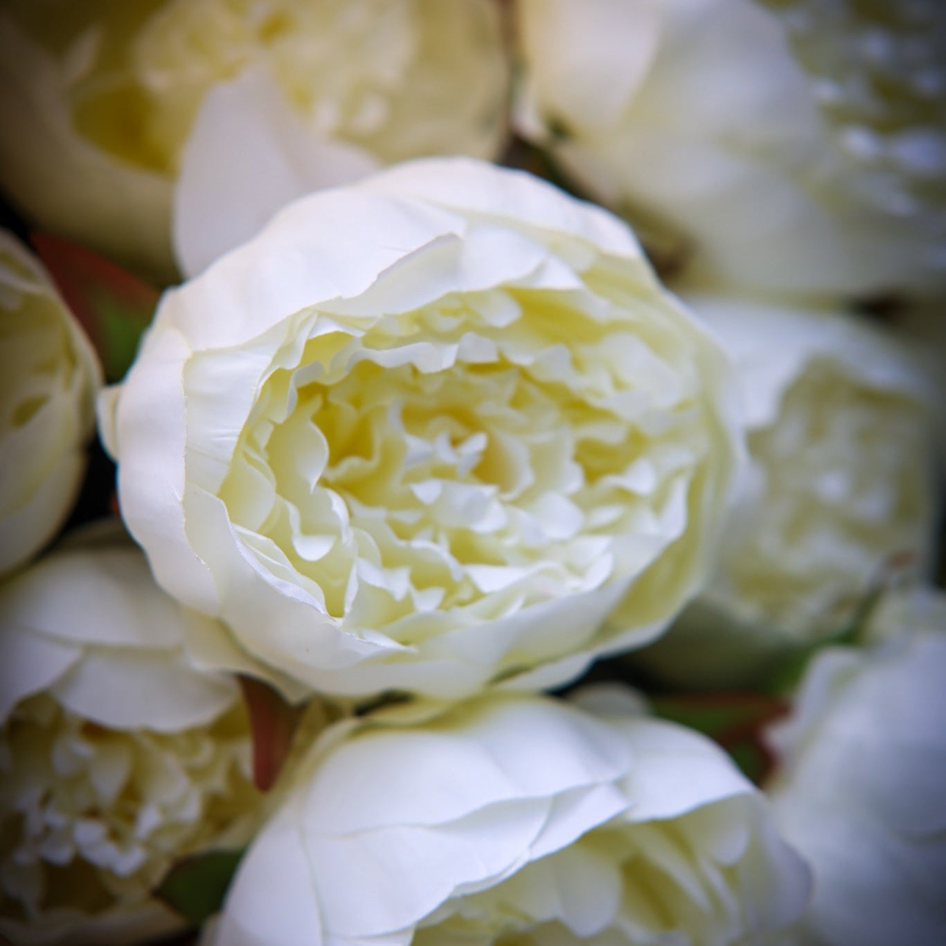 Faux Cream Peony Bunch